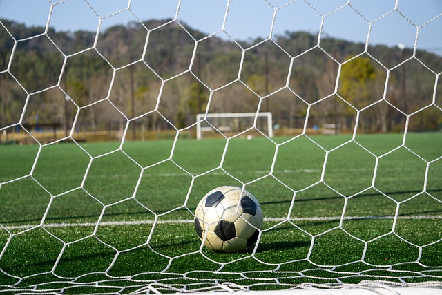 新援詹姆斯 新援詹姆斯