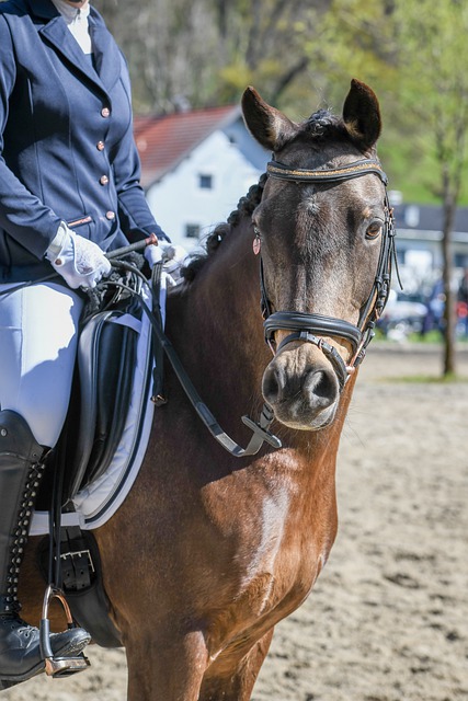 光都汇聚于 光都汇聚于