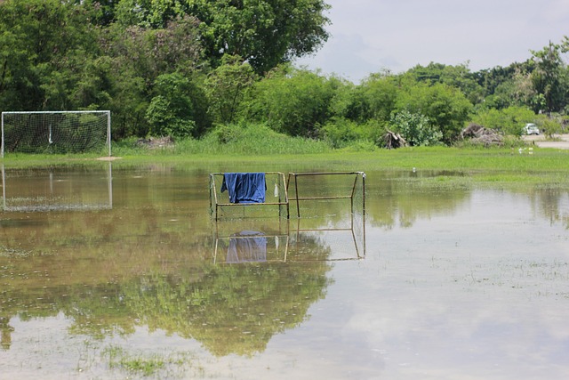 各队刮目相 各队刮目相