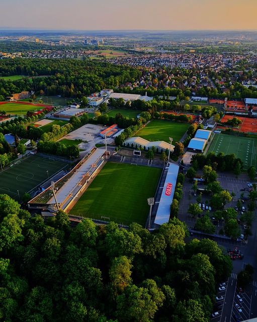 体育比赛新 体育比赛新