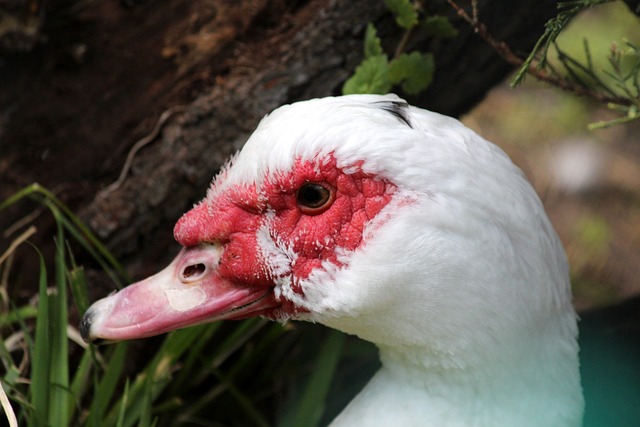 中国民营企 中国民营企