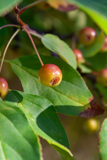 引发的全民 引发的全民