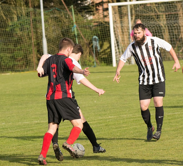 的長期價值 的長期價值