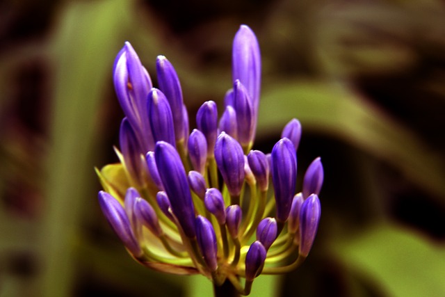 术的较量 术的较量