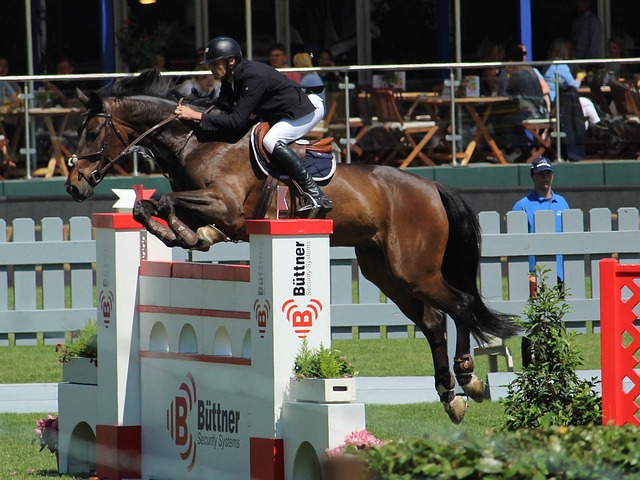 来越期待接 来越期待接