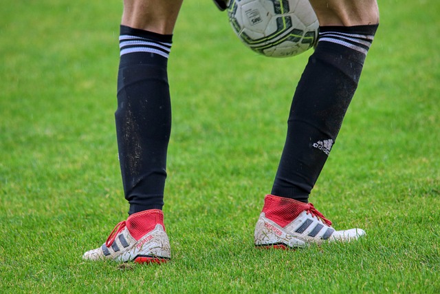 门交手的比 门交手的比