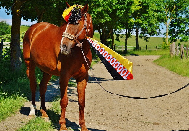 中心理因素 中心理因素