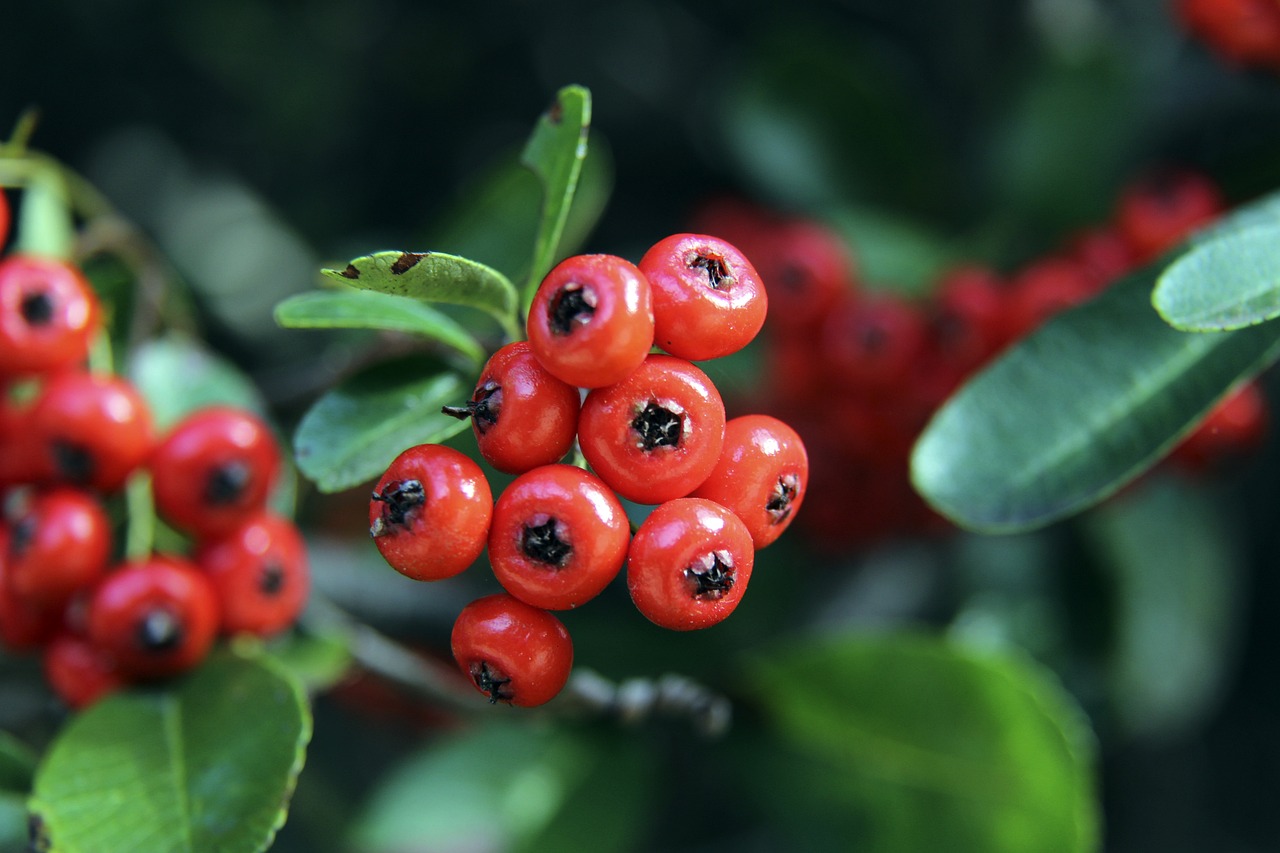 体对抗的较 体对抗的较