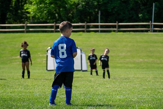 不小的成效 不小的成效