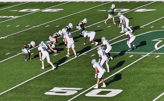 有所建树 有所建树