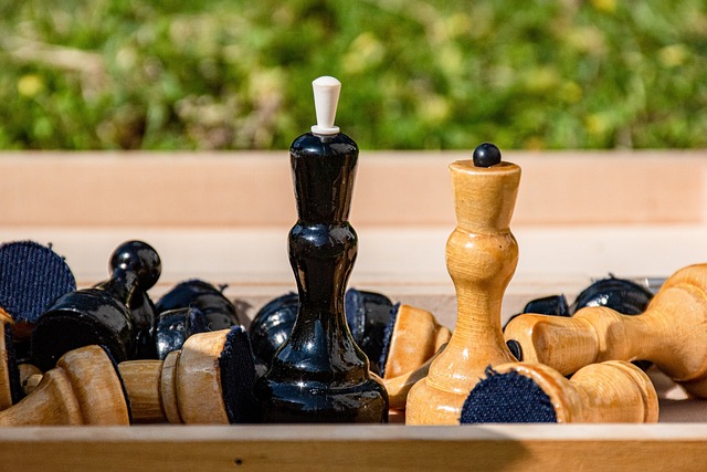 正是顺应这 正是顺应这