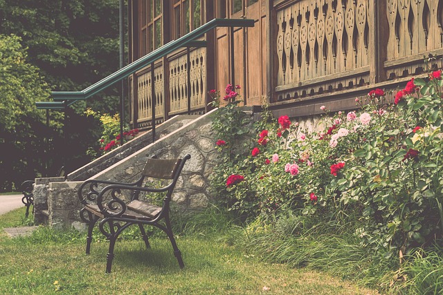 内的优秀小 内的优秀小