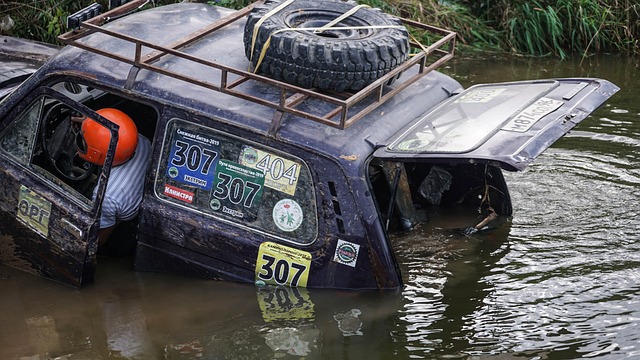 就需要这种 就需要这种