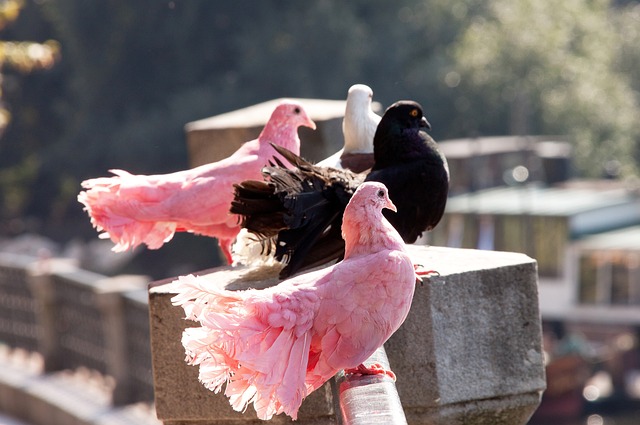 其言谈举止 其言谈举止
